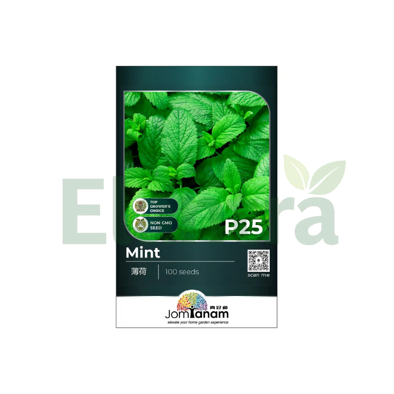 P25 MINT